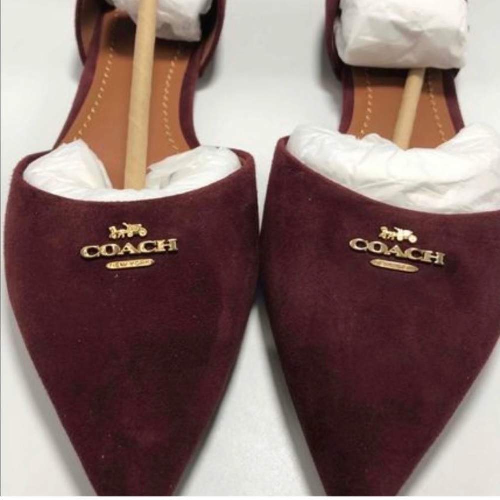 Coach Pointed Toe wine flats size 7 - Picture 2 of 15